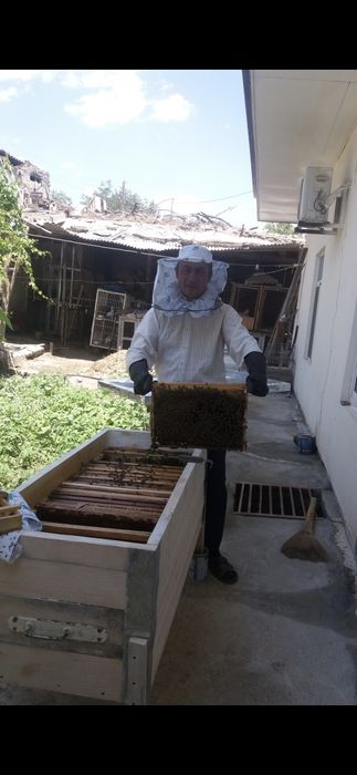 Asal ramkalar va tabiiy asal