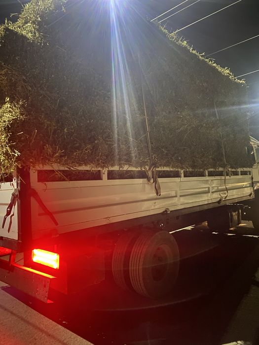 Mercedes gigant 1114