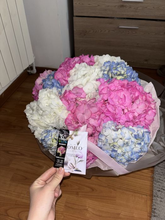 Красивые,свежие цветы