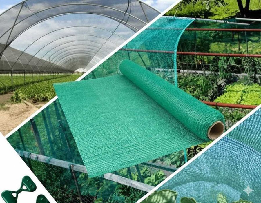 soya setkalari quyosh setka