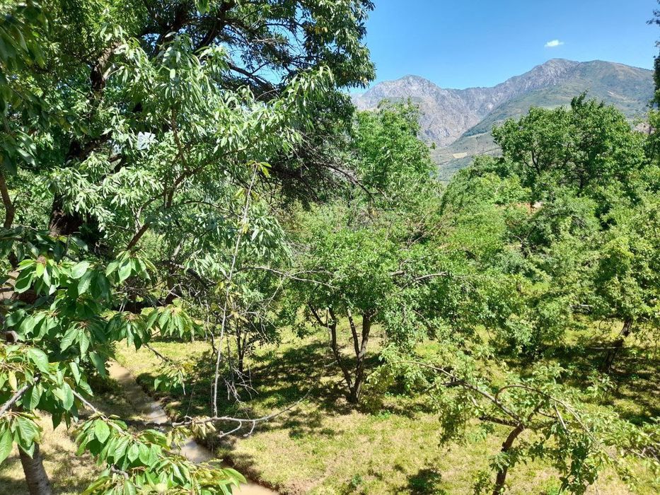 Ер сотилади 100.000$