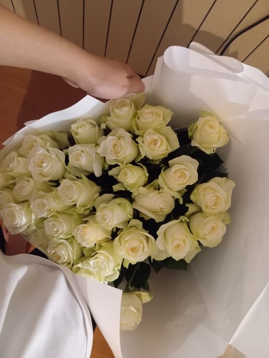 Роза гүл 31шт  1 метр