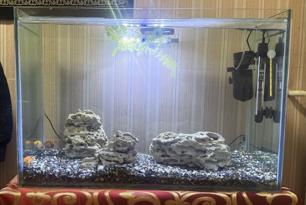 Продам Аквариум 100л