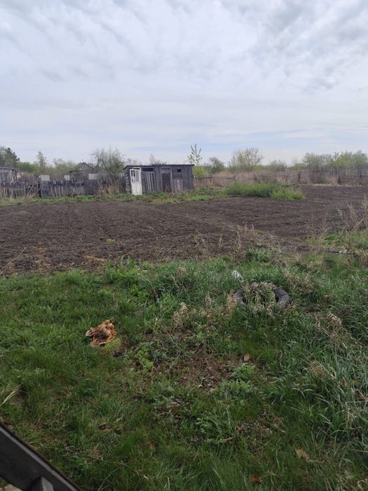 Продам дачу. Тихая роща