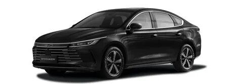 Byd chazor 120tali 2025 masla