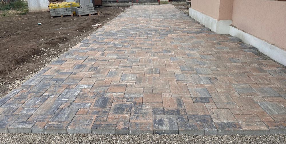 Echipa profesionisti montaj pavaj