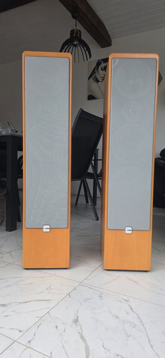 Canton ergo 900dc