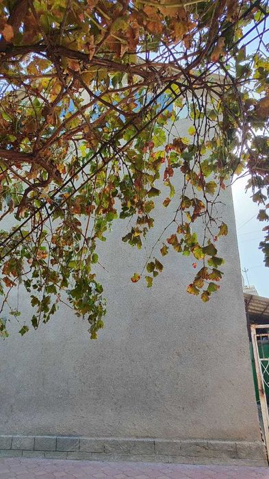 Дом с участком 18 соток