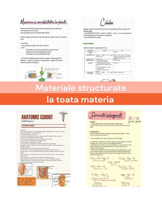 Pregătire pentru Admiterea la Medicină și Bacalaureat