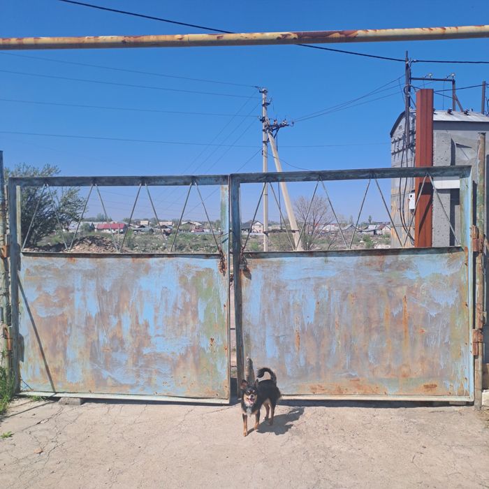 Варота продаю  торг будет