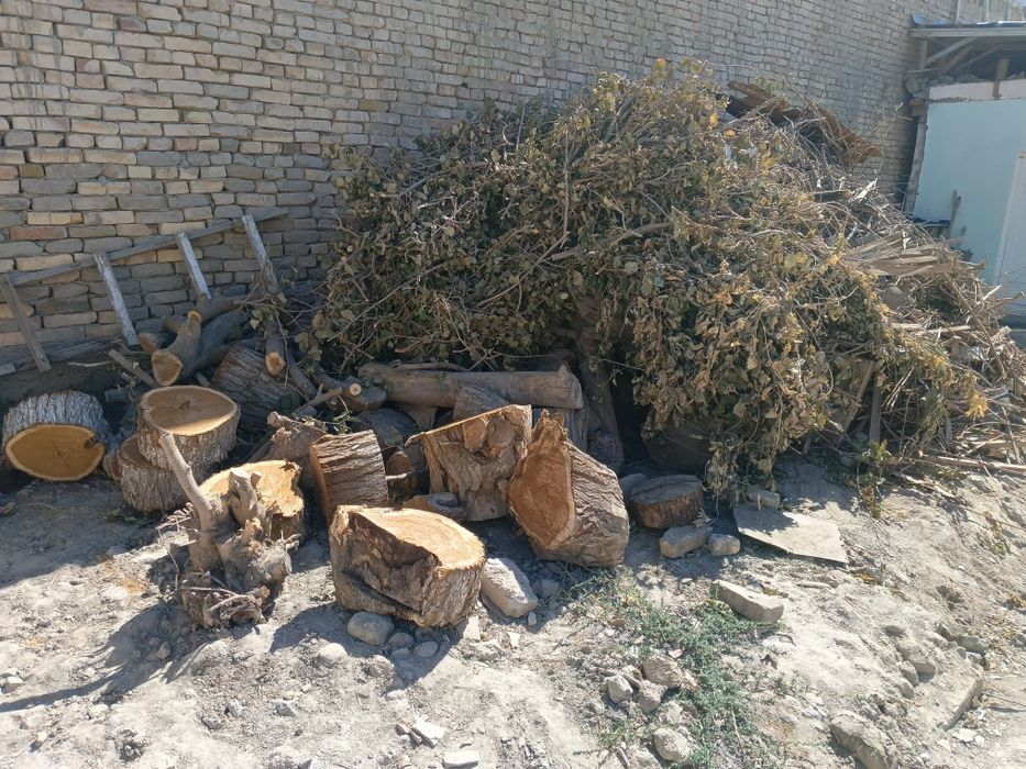 Oʻtin sotiladi aralash