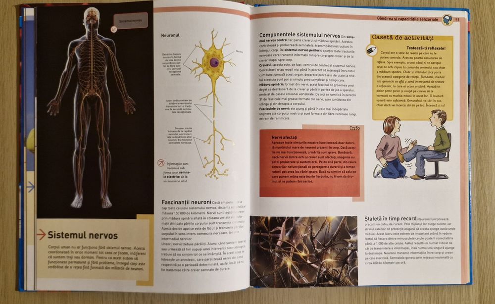 Corpul uman - Colecția Știința astazi