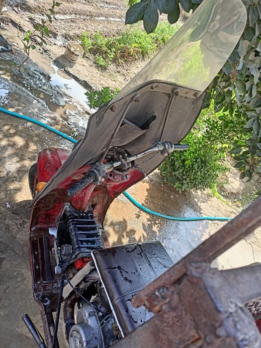 Муравей сотилади