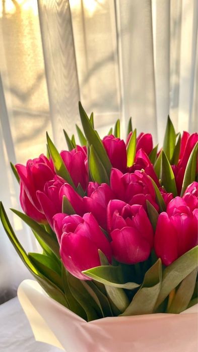 Свежие ,красивые букеты тюльпанов