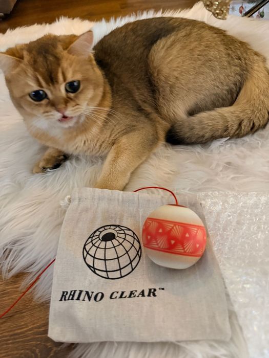 Tama Kendama israel Rihno Clear