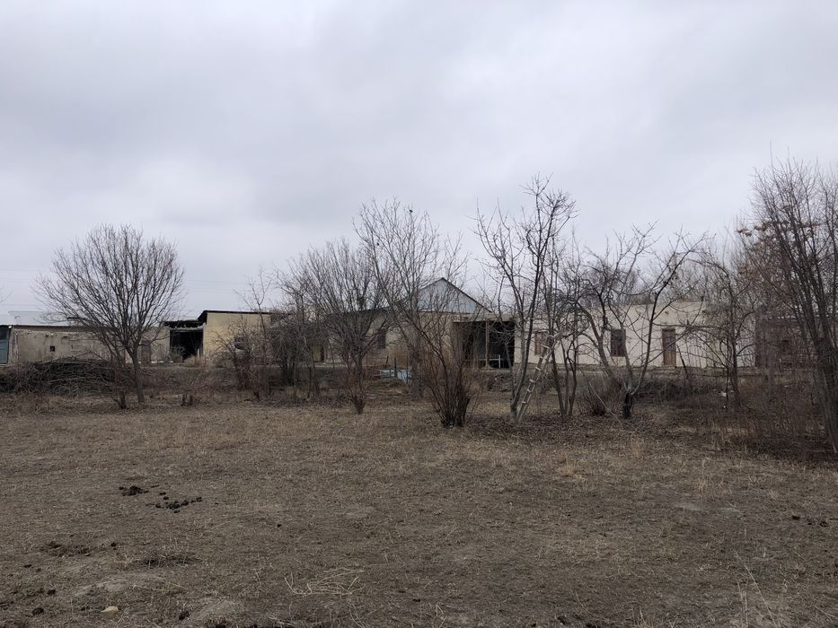 Xovlli sotiladi 25 sotiq