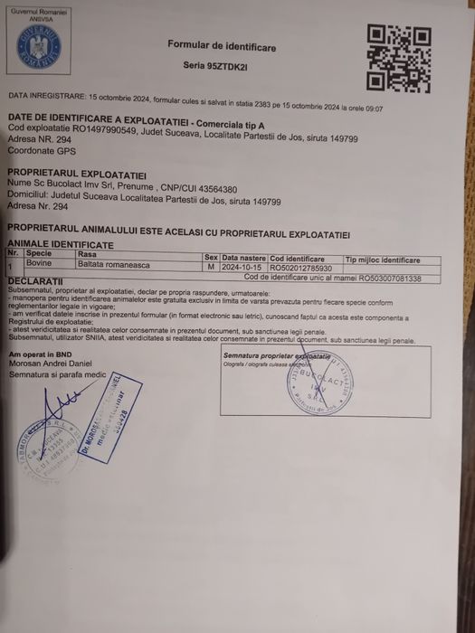 Taur cu certificat de originr