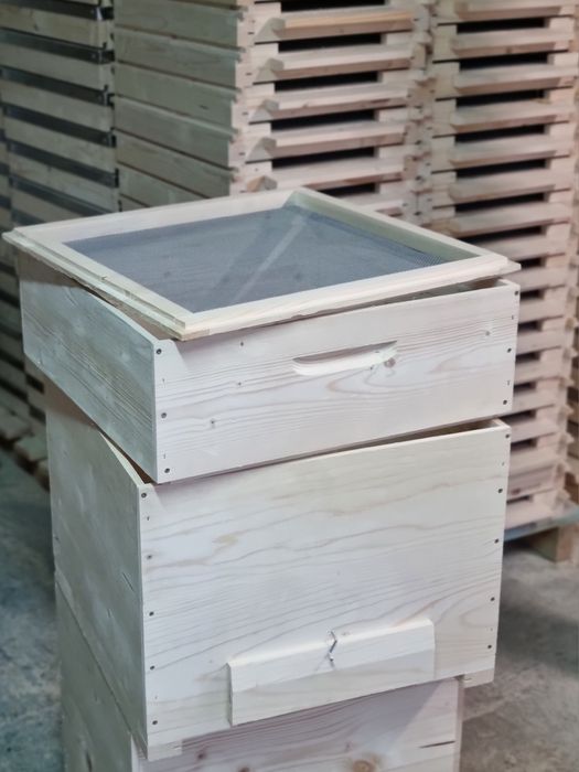 Lazi de albine de vanzare