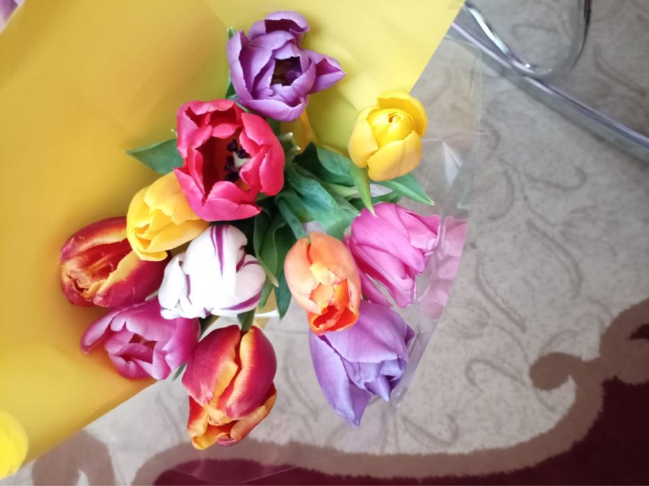 11 шт букет тюльпанов