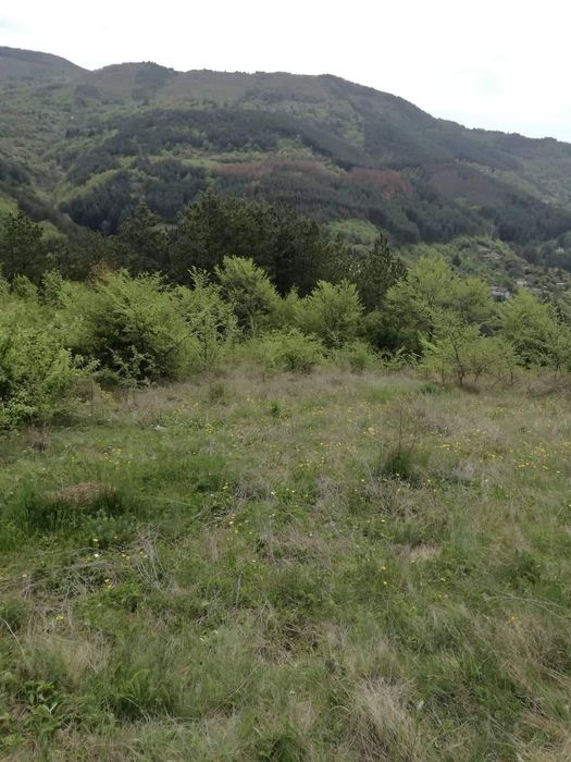 Продава се Парцел в София, Модерно предградие - 850 кв.м за 21 €/кв.м - Снимка #6