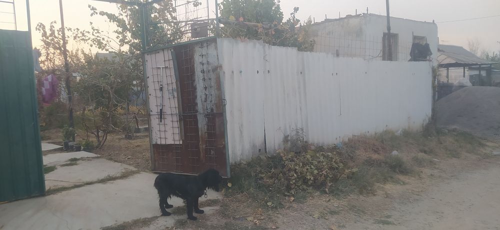 Продается дом бывшее дача