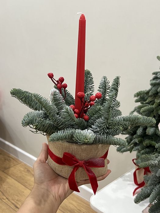 Нобилис банчами и готовые композиции