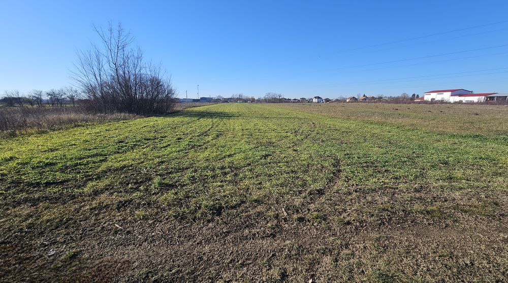 Vand teren in Titu Dâmbovița