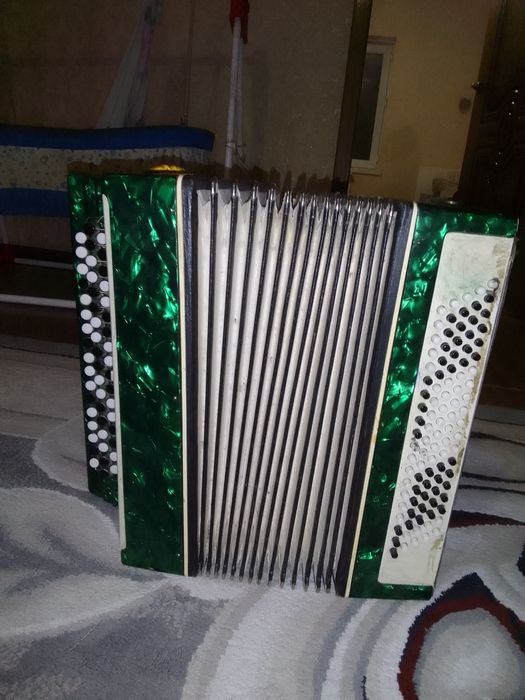 Баян молодечно 2