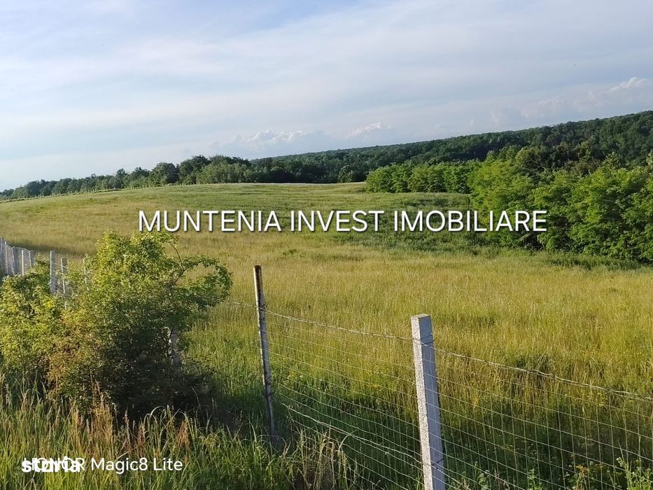 De vanzare 40.800 mp. teren, Calinesti