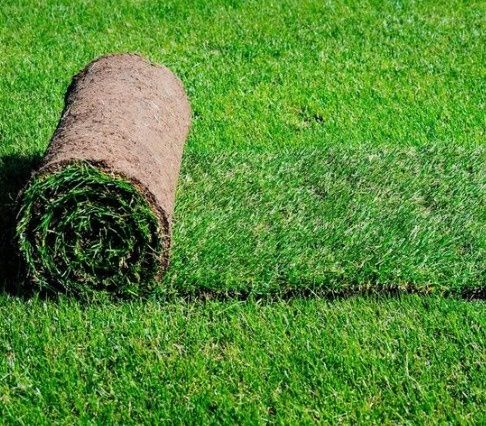 Gazon rulou sisteme de irigare calitate extra