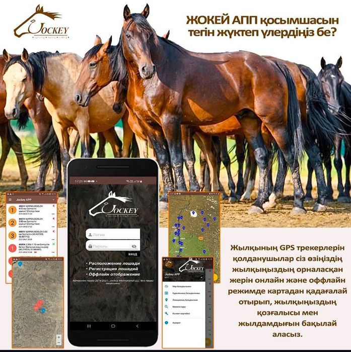 ДЖпс [ gps] спутниковый для лошадей