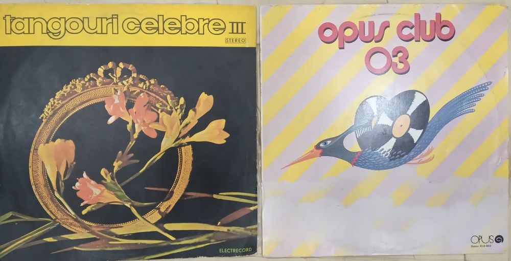 Виниловые  пластинки