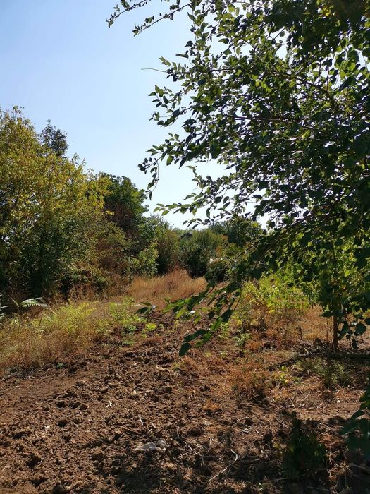 Продава се Парцел в Горна Оряховица - 1140 кв.м за 59 €/кв.м - Снимка #7