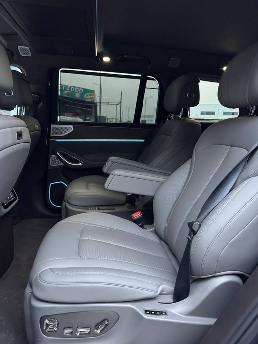 Denza N9 Full dopopsiys