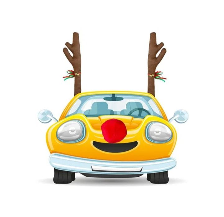 coarne nas ren pentru autoturisme