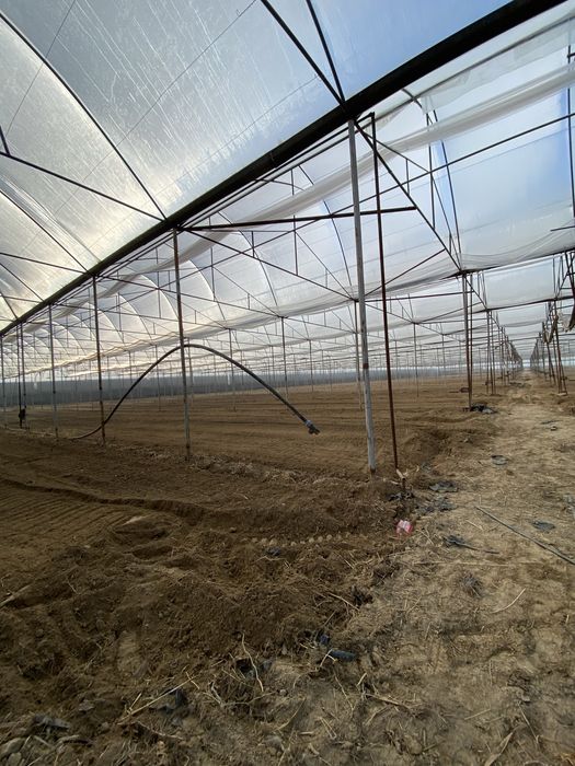 Теплица аренда