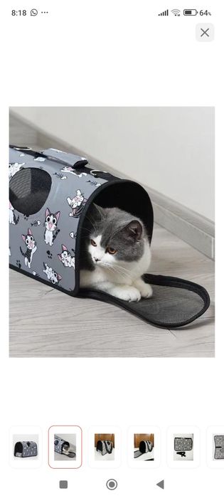Гигиена для кошек или собак
