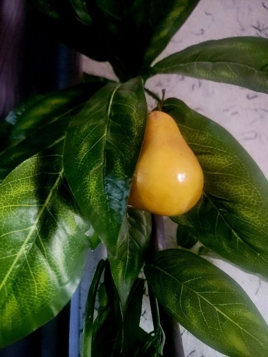 Красивые декаротивные деревья высотой 2метра читайте ниже