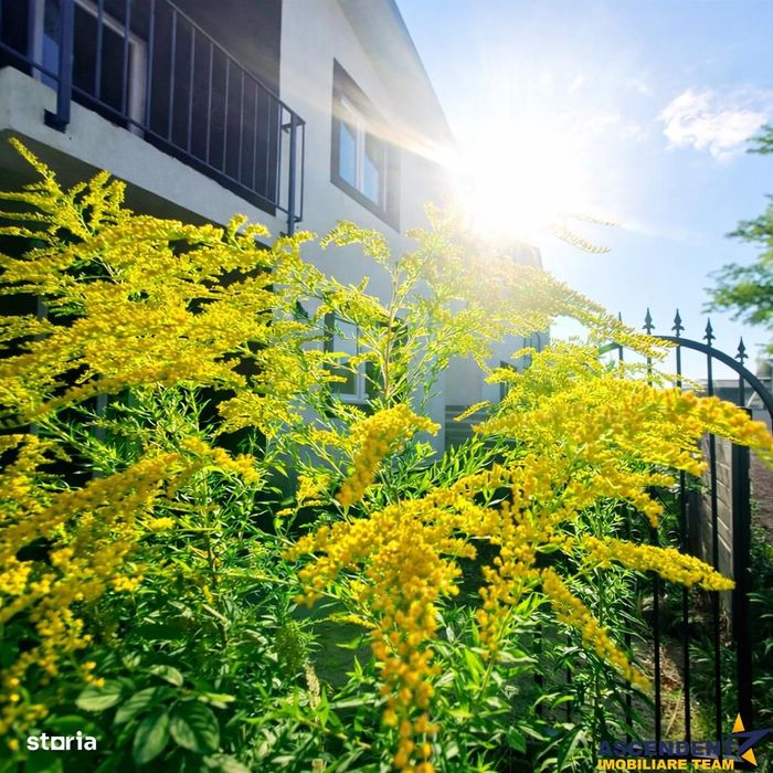 Proprietate gata de mutat, P+E; curte proprie, Tarlungeni, Izvor, Bras