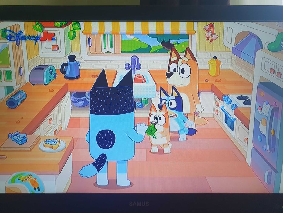 TV Monitor LED SAMUS 24 FullHD 1920x1080 USB HDMI VGA 60cm 61 24SM61ED