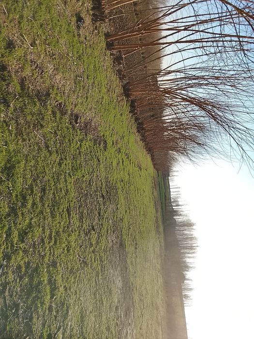 Срочна 53 сотихли йер учаскамиз сотуга чикти