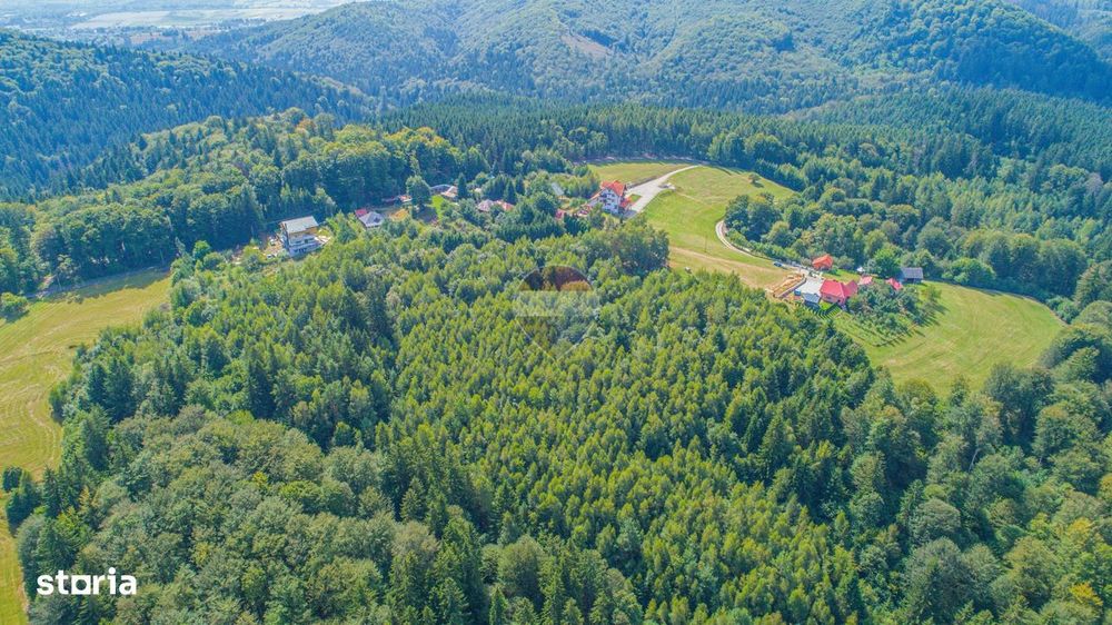 Teren extravilan Poiana Marului 1095mp, inconjurat de padure