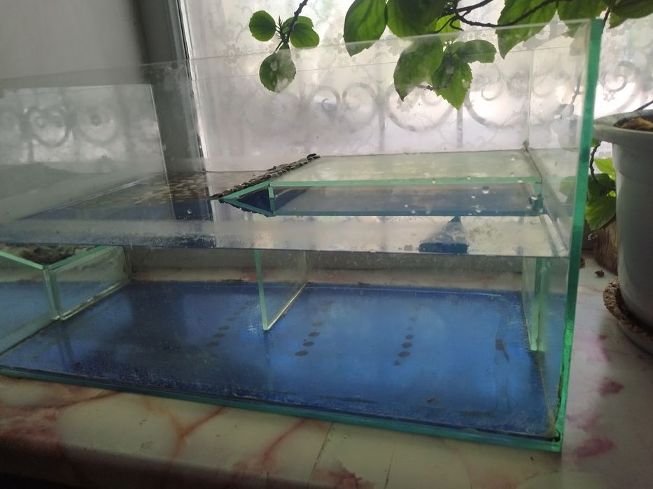 Терариум для земноводных