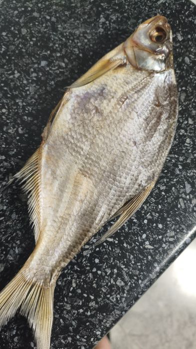 Лещ вяленый 2000 т.