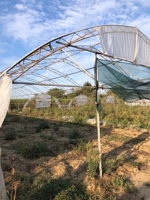 Продавам оранжерии