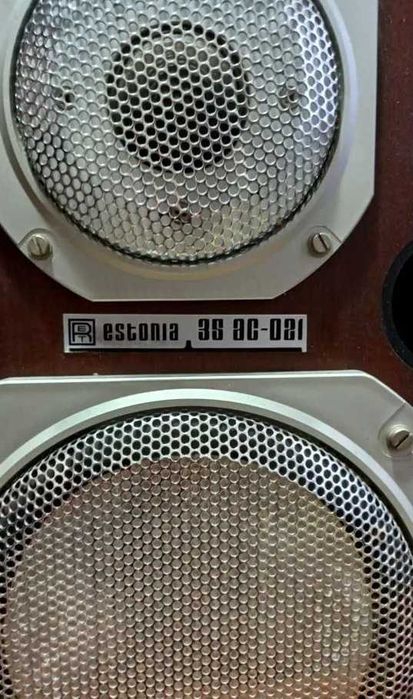 Акустическая система Эстония 35АС-021