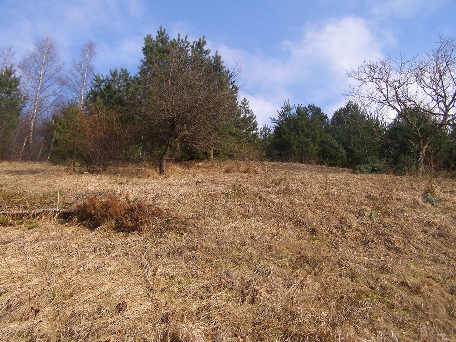 Casa si gradina in Brasov