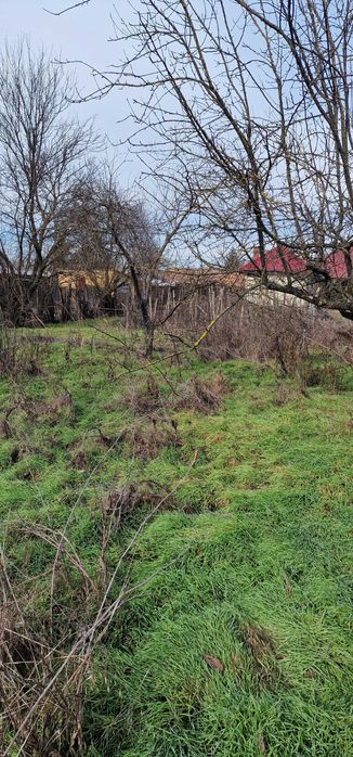 Casă și teren în Tămădău Mare