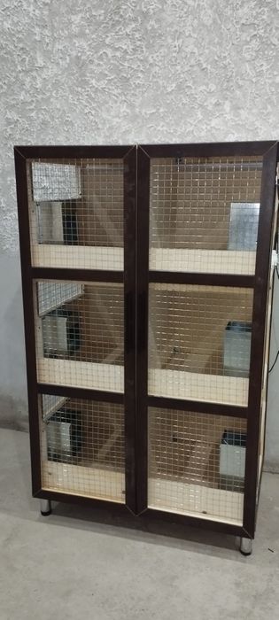 Кролики продажа  Узбекистан