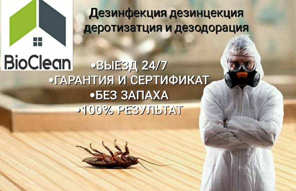 Дезинфекция навоий